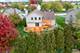 509 Ladysmith, Bartlett, IL 60103