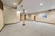 509 Ladysmith, Bartlett, IL 60103