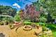 622 Primrose, Crystal Lake, IL 60014
