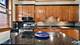 344 N Austin Unit 1, Oak Park, IL 60302