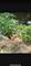 257 Edgewood, Algonquin, IL 60102