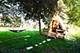 7505 Queens, Downers Grove, IL 60516