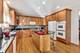 1020 Linneman, Mount Prospect, IL 60056