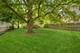 7020 N Mcalpin, Chicago, IL 60646