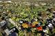 135 S Edgewood, Lombard, IL 60148