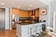 240 E Illinois Unit 1704, Chicago, IL 60611