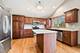 12432 Steamboat Springs, Mokena, IL 60448