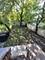 2937 W Jackson, Chicago, IL 60612