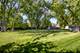 234 Cottonwood, Northbrook, IL 60062