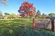 200 N Wilshire, Arlington Heights, IL 60004