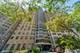 1418 N Lake Shore Unit 19, Chicago, IL 60610