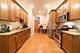 1502 N Hudson, Chicago, IL 60610