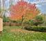 651 Lake Plumleigh, Algonquin, IL 60102
