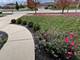 19619 Foxford, Mokena, IL 60448