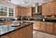15951 Aster, Lockport, IL 60441