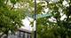 447 W Menomonee, Chicago, IL 60614