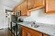 1100 W Glenlake Unit 2, Chicago, IL 60660