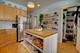 3006 W Wilson, Chicago, IL 60625