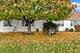 21759 W Empress, Plainfield, IL 60544