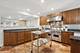 1821 W Oakdale, Chicago, IL 60657