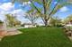 665 Olive, Hoffman Estates, IL 60169