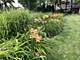 336 N Western, Lake Forest, IL 60045