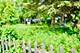 2115 Chestnut, Waukegan, IL 60087