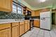 326 Indian, Glen Ellyn, IL 60137