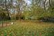 326 Indian, Glen Ellyn, IL 60137
