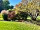 2218 Kingston, Wheaton, IL 60189