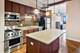 1307 S Wabash Unit 511, Chicago, IL 60605