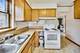 5031 N Newland, Chicago, IL 60656