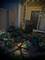 372 Newport Unit B1, Bartlett, IL 60103