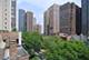 1436 N Astor, Chicago, IL 60610