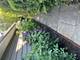 208 Sunset, Libertyville, IL 60048