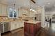 1727 W Julian, Chicago, IL 60622