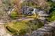 1833 Woodland, Rockford, IL 61107