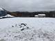 1715 Gilboa, Zion, IL 60099