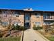 804 E Old Willow Unit 1-208, Prospect Heights, IL 60070