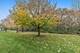 1517 Meadowsedge Unit 1517, Carpentersville, IL 60110