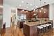 1717 W Wellington, Chicago, IL 60657
