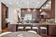 1717 W Wellington, Chicago, IL 60657