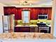 1156 S Cuyler, Oak Park, IL 60304