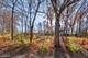 Lot 5 Illinois, St. Charles, IL 60174