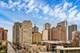 1134 W Granville Unit 506, Chicago, IL 60660