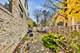 115 Gillick, Park Ridge, IL 60068