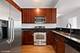 100 E 14th Unit 2607, Chicago, IL 60605