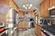 713 S Maple, Oak Park, IL 60304