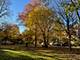 1316 E Madison Park, Chicago, IL 60615