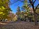 1316 E Madison Park, Chicago, IL 60615
